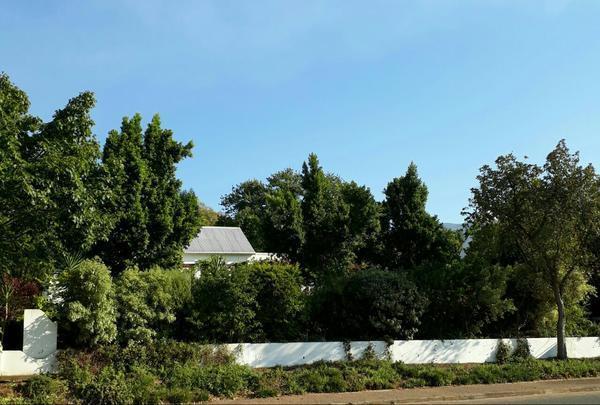Winterson En Somerkoelte Swellendam Extérieur photo